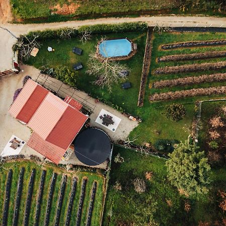 Апартаменты Quinta Vale Salgueiro Сейя Экстерьер фото