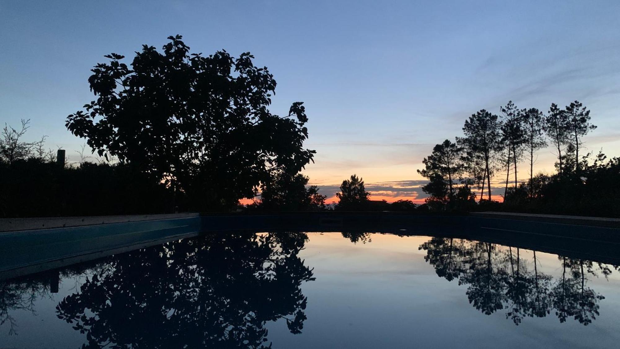 Апартаменты Quinta Vale Salgueiro Сейя Экстерьер фото
